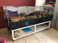 Gestell für Hasen- / Kaninchen- / Meerschweinchen- Käfig / Stall Nordrhein-Westfalen - Welver Vorschau