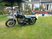 Harley sportster 883ca Niedersachsen - Seevetal Vorschau