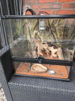 Terrarien, Aquarium Niedersachsen - Westoverledingen Vorschau