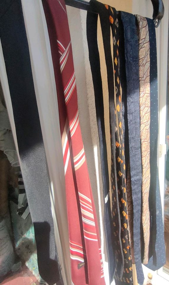 Verschiedene Krawatten, je 10 Euro in Königsbrunn