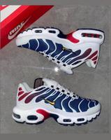 Nike Air Max Plus Psg  Herren Schuhe 41 42 43 44 Bremen-Mitte - Bremen Altstadt Vorschau