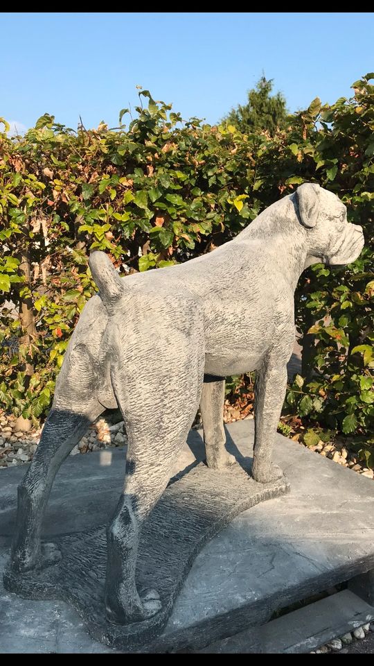 Boxer Lebensgroß 120kg 75cm Hund Steinguss Rüde Welpe Steinfigur in Nürnberg (Mittelfr)