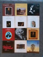 Schallplatten Vinyl diverse Klassische Musik Niedersachsen - Groß Twülpstedt Vorschau