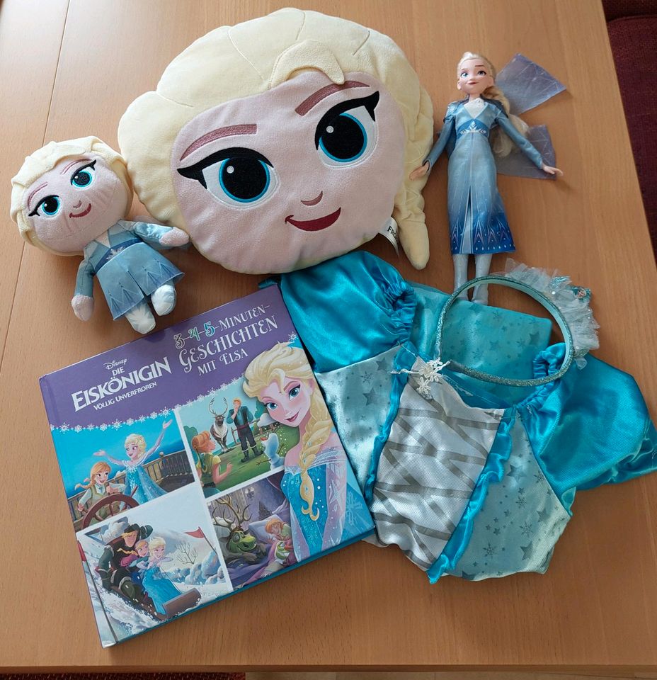 Elsa, Spielzeug, Kleidung, Kissen, Puppe,Buch in Großensee
