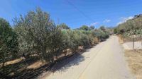 Kreta Agia Galini, Bauerwartungsland mit Meerblick und Strandnähe Wuppertal - Vohwinkel Vorschau