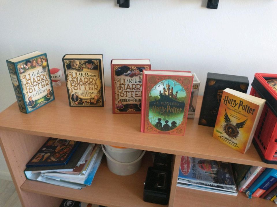 Büchersammlung Harry Potter et cetera in Sörup