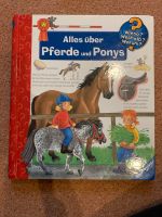 Wieso Weshalb Warum Pferde Ponys Schleswig-Holstein - Braak Vorschau