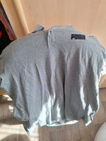 Puma poloshirt Sachsen-Anhalt - Dessau-Roßlau Vorschau