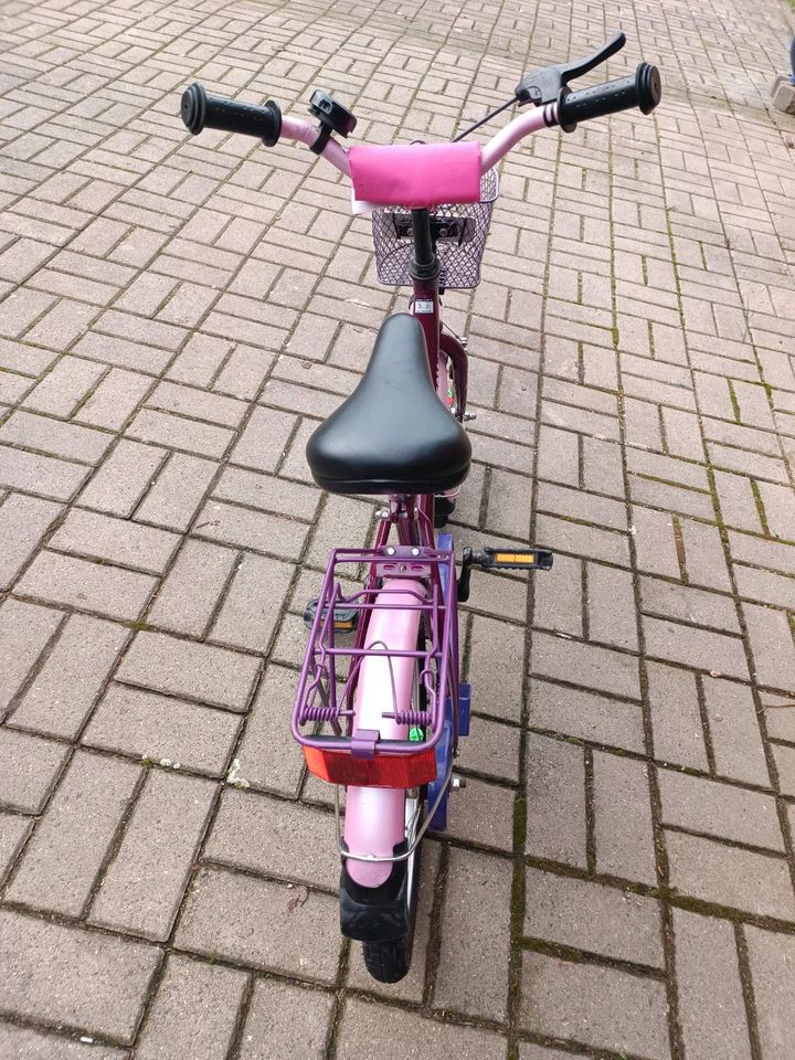 Fahrrad pink 16 Zoll in Reinstedt