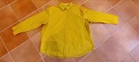 Damen Hemd Gr. XXL Cecil TOP Marburg - Wehrda Vorschau