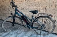 Damen E-Bike Fischer ETD 1806 Rheinland-Pfalz - Singhofen Vorschau