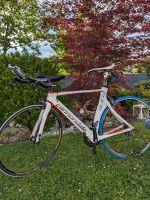 Triathlonrad, Zeitfahrrad Cannondale slice (Speed Shadow) Baden-Württemberg - Ubstadt-Weiher Vorschau