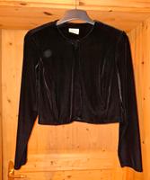 Samt Bolero Gr. 40 Sachsen - Meerane Vorschau