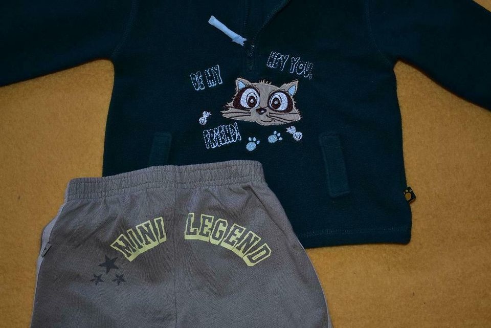 Baby Fleece Pullover + Freizeithose Gr.86 grün/beige m Katze, Set in Wichtshausen