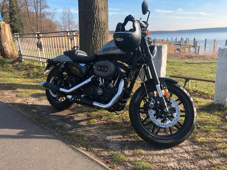 Harley Davidson Roadster 1200 XL2 / A2 tauglich in Potsdam