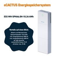 10,24 kWh ECACTUS Speichersystem für 8000 W inkl. Wechselrichter Mecklenburg-Vorpommern - Torgelow Vorschau