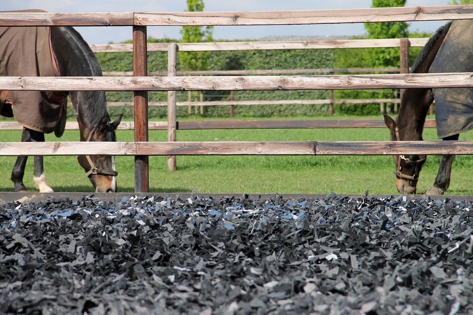 Reiten das ganze Jahr, Verbesserung Reitplatz Teppichschnipsel in Schwanewede