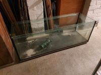 Großes !! Aquarium Terrarium 120 x 40 cm mit Schienen Hessen - Oberursel (Taunus) Vorschau