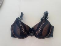 BH Hunkemöller 75 D Bayern - Pinzberg Vorschau