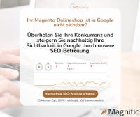 SEO für Magento - Onlineshop & E-Commerce Optimierung Bayern - Bad Heilbrunn Vorschau