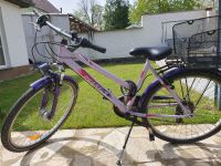 Fahrrad Mädchen Pegasus 7 Gang Sachsen-Anhalt - Schkopau Vorschau