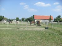 Freie Boxen/Stellplätze Brandenburg - Nauen Vorschau