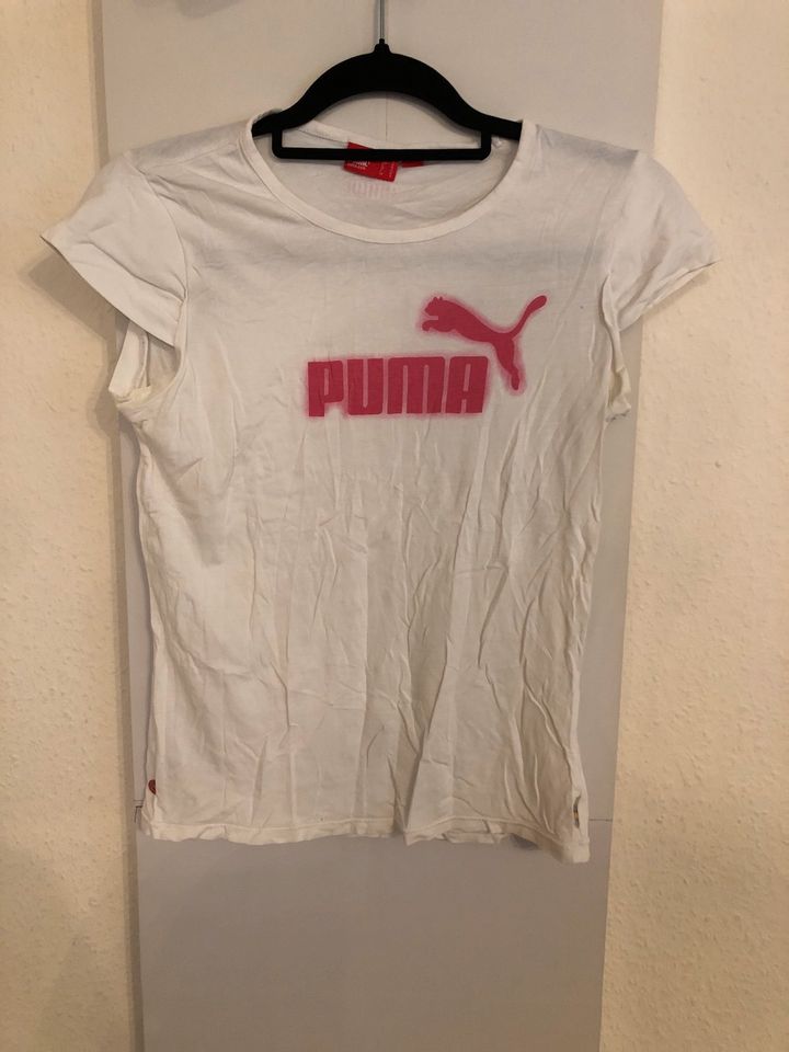 Puma tshirt Gr M in Hamburg