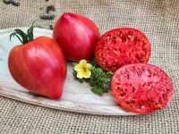 Australische Riesen Fleischtomate rot herzförmig Gewicht bis 600g Bayern - Waigolshausen Vorschau