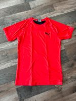 Puma Herren Sport Shirt Lauf Shirt  Gr M neuwertig Nordrhein-Westfalen - Bad Salzuflen Vorschau