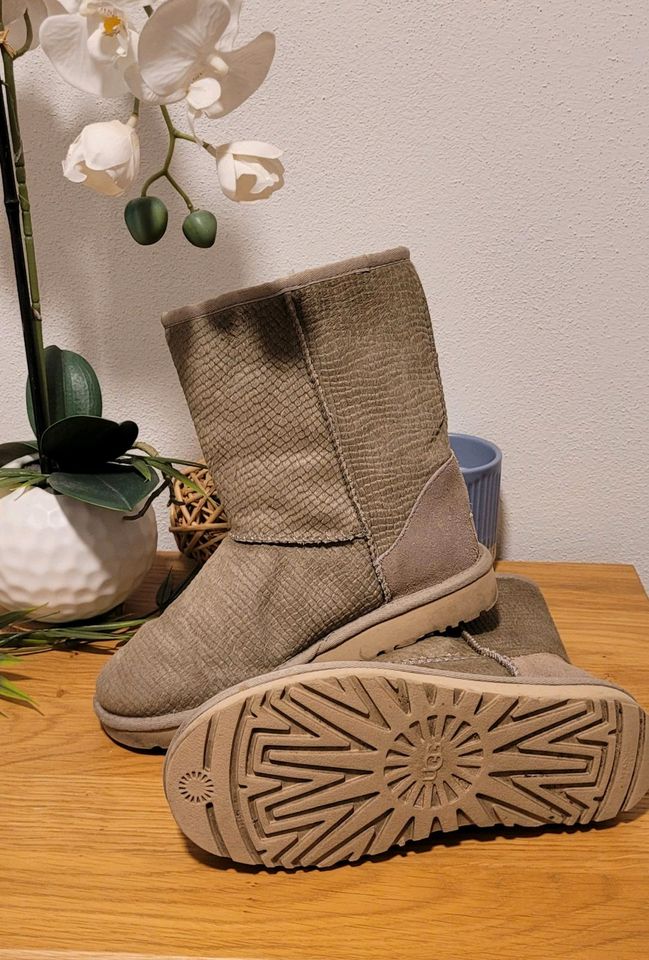 UGG Boots Stiefel Stiefeletten in Kauern (bei Gera)