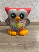 Fisher-Price Schlaue Eule Rheinland-Pfalz - Nastätten Vorschau