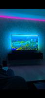 Philips Fernseher (65 Zoll, 4K, Ambilight) Hamburg - Bergedorf Vorschau