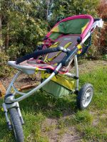 Kinderwagen Buggy mit Babywanne und viel Stauraum Sachsen - Wachau Vorschau