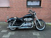 Harley Davidson XL 883 l,  7 Monate Gewährleistung / Garantie Nordrhein-Westfalen - Oberhausen Vorschau