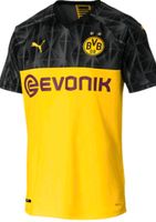 Suche BvB / Dortmund Turniertrikot 19/20 in Größe M Baden-Württemberg - Heidelberg Vorschau