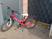 Kinderfahrrad Pegasus Avanti 3 20 Zoll Fahrrad Nordrhein-Westfalen - Düren Vorschau