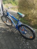 Pegasus 26" Jungen Fahrrad Niedersachsen - Celle Vorschau