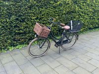 Cortina U4 Hollandrad Fahrrad 26 Zoll schwarz TOP‼️Körbe inkl‼️ Düsseldorf - Bilk Vorschau