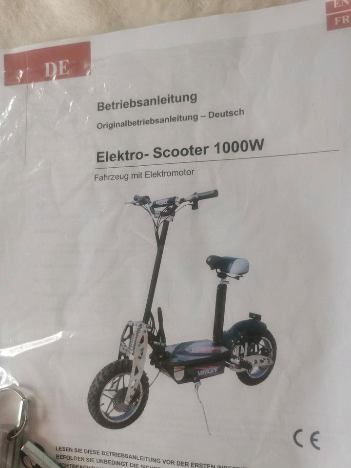 1000WElektro Scooter 25 NEUE in Schwandorf