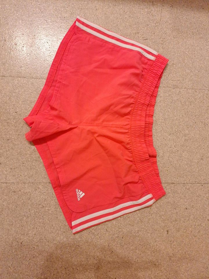 Adidas Short neonpink aeroready XL neu in Auerbach in der Oberpfalz