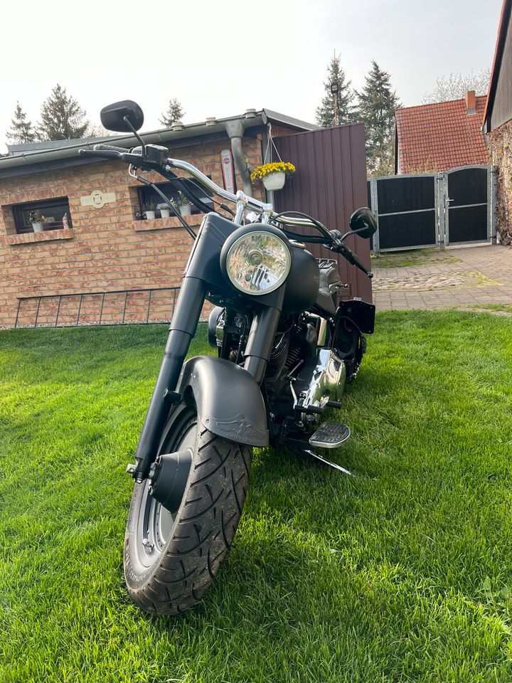 Harley Davidson in Zippelsförde