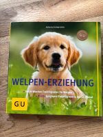 Buch Welpen Erziehung Bayern - Marktoberdorf Vorschau