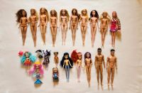 Barbie Puppen,Ken,Steffi,Shelly,Skipper,Enchantimals,Tinkerbell Schleswig-Holstein - Tarp Vorschau