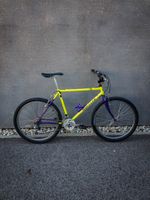 Wheeler 313 Retro MTB Commuter Citybike Gravel BMX Kult Bayern - Coburg Vorschau