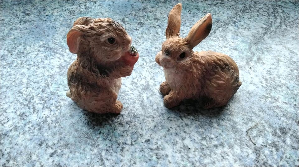 Deko Hasen, 2 niedliche Hasen, einer mit Möhrchen in Kiel