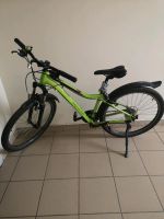 MERIDA Mountain Bike 29 Zoll, für Mädels und Jungs geeignet Sachsen - Plauen Vorschau