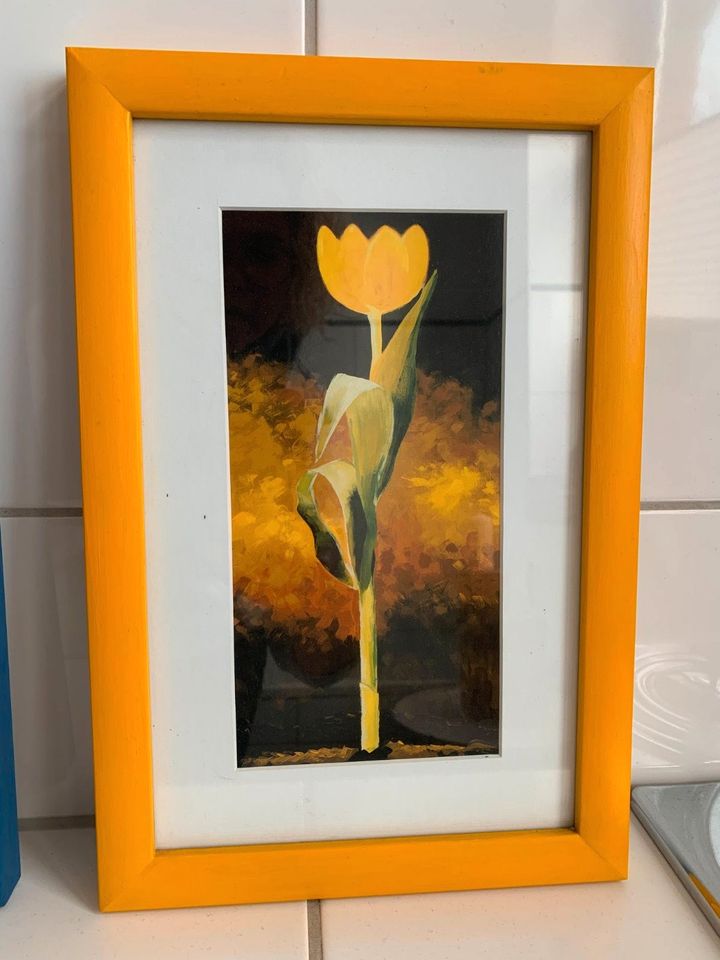 3 Bilder Kunstdrucke Karsten Kirchner Tulpe Tulpenbild in Lüdinghausen