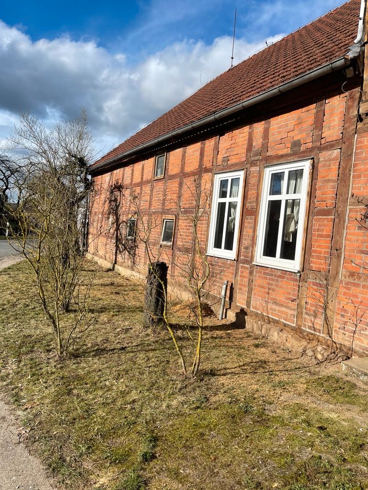 Fassadenarbeiten. Renovierungen, Reparaturen, Instandsetzung. in Lüchow