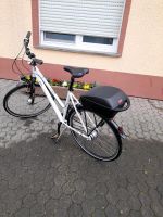 Kalkhoff Fahrrad Rheinland-Pfalz - Welschbillig Vorschau