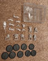 Privateer Press / Hordes / Warmachine Trollblood / Scattergunner Sachsen - Neukirchen/Erzgeb Vorschau